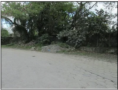 Terreno - Santos - Desocupado — foto 2