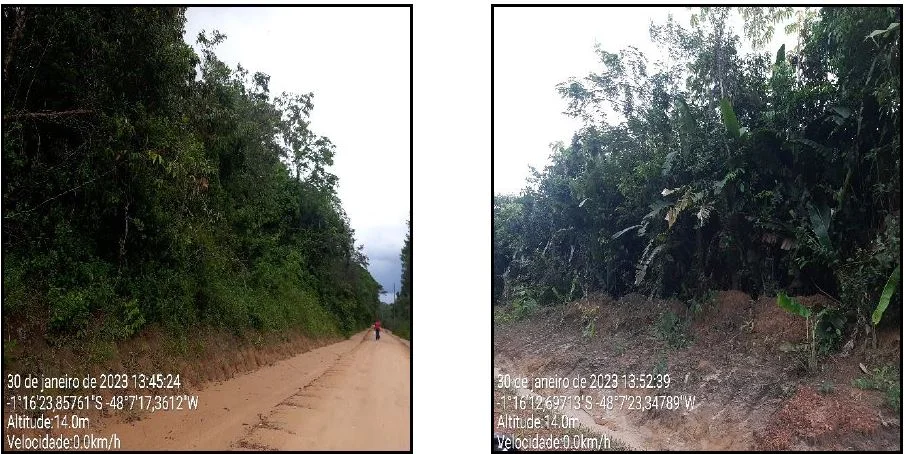 Terreno - Santa Isabel do Para - Desocupado — foto 4