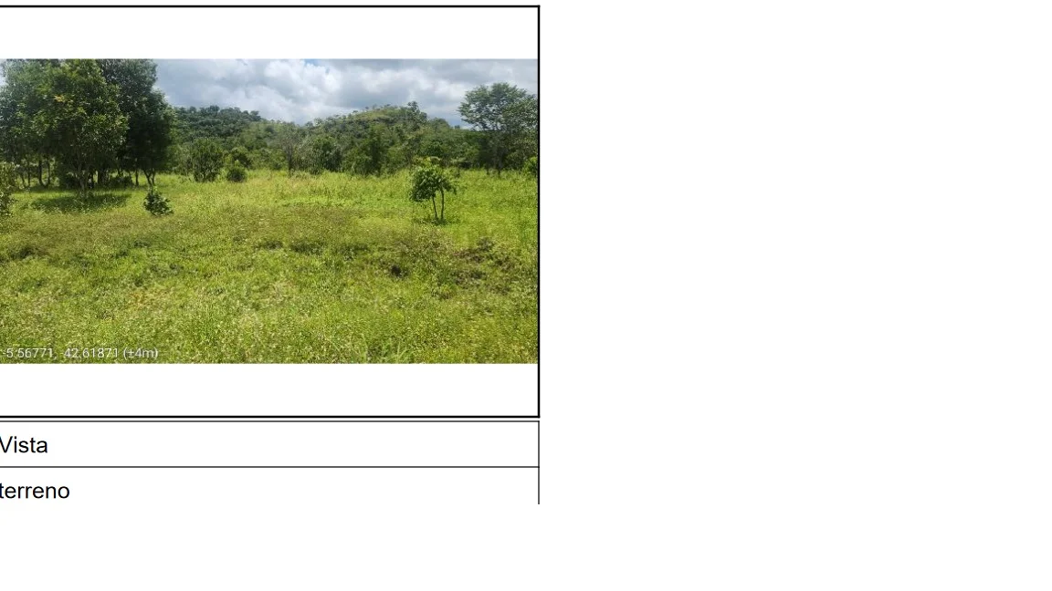 Terreno - Monsenhor Gil - Ocupado — foto 2