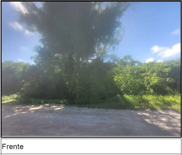 Terreno - Pelotas - Ocupado — foto 3