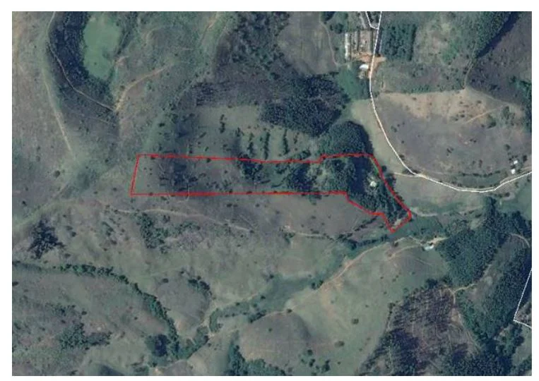 Imóvel Rural - Uba - Ocupado — foto 2