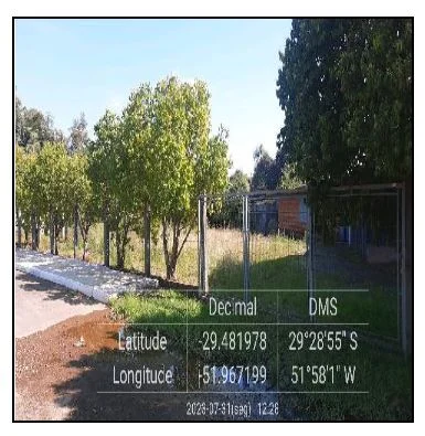 Terreno - Estrela - Desocupado — foto 3