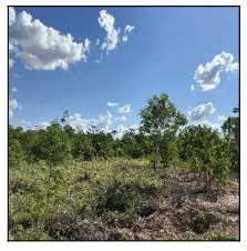 Gleba - Cuiaba - Desocupado — foto 2