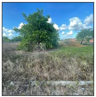 Terreno - Horizonte - Ocupado — foto 2