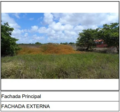 Terreno - Horizonte - Desocupado — foto 3