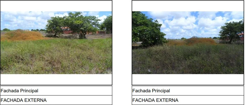 Terreno - Horizonte - Desocupado — foto 4