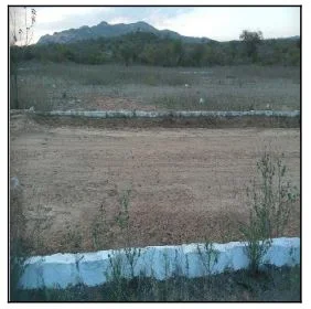 Terreno - Jatauba - Ocupado — foto 2