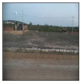 Terreno - Jatauba - Desocupado — foto 2