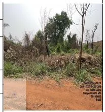 Terreno - Campo Grande - Desocupado — foto 2