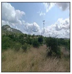 Terreno - Caruaru - Desocupado — foto 2