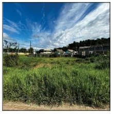 Terreno - Cachoeiras de Macacu - Desocupado — foto 2