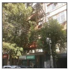 Sala - Niterói - Ocupado — foto 2