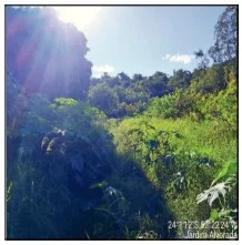 Terreno - Candeia - Ocupado — foto 2