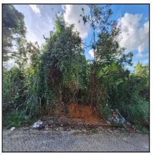 Terreno - Serra - Ocupado — foto 2