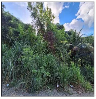 Terreno - Serra - Ocupado — foto 2