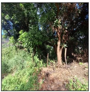 Terreno - Serra - Ocupado — foto 2