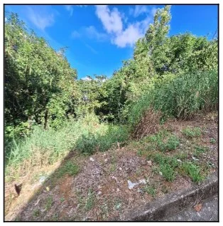 Terreno - Serra - Ocupado — foto 2