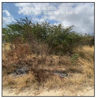 Terreno - Caruaru - Ocupado — foto 2