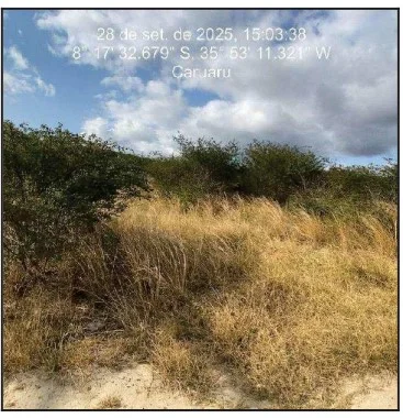 Terreno - Caruaru - Desocupado — foto 2