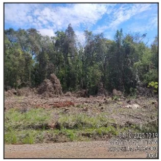 Gleba Urbana - Arvorezinha - Desocupado — foto 2