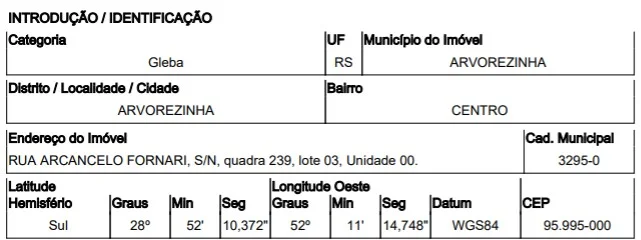 Gleba Urbana - Arvorezinha - Desocupado — foto 3