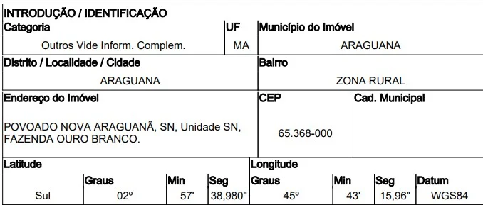 Imóvel Rural - Araguana - Ocupado — foto 3