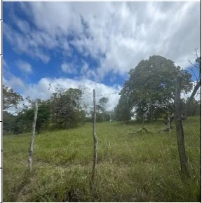 Gleba - Canhotinho - Ocupado — foto 2