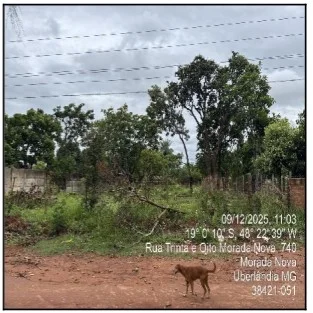 Terreno - Uberlandia - Desocupado — foto 2