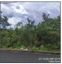 Terreno - Caldas Novas - Desocupado — foto 2