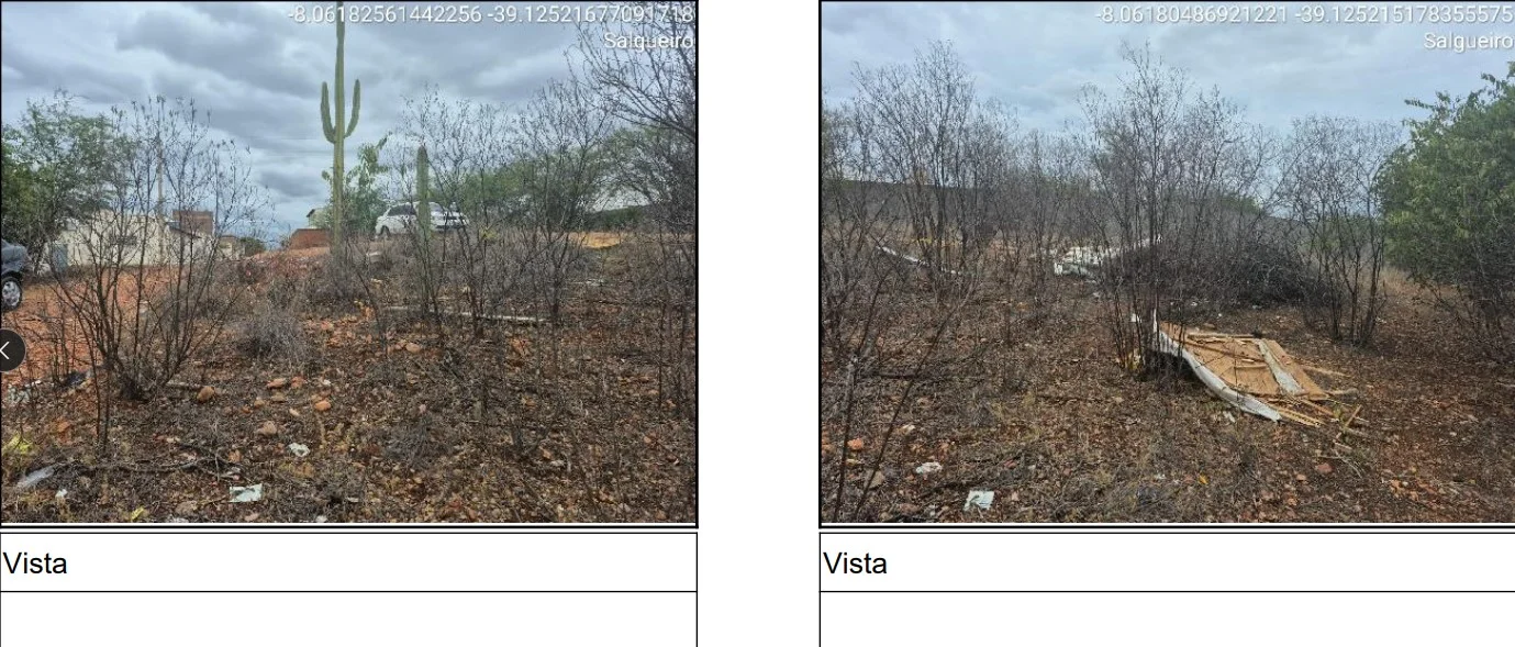 Terreno - Salgueiro - Desocupado — foto 3