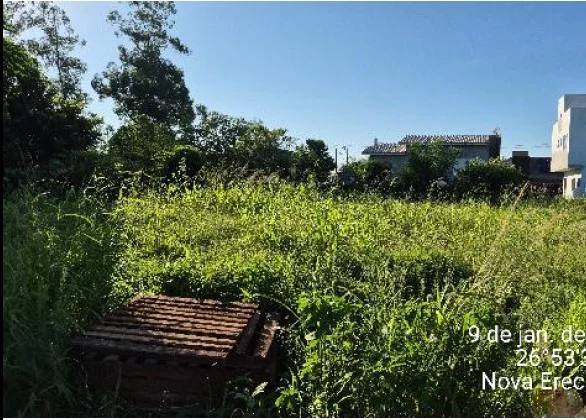 Terreno - Pinhalzinho - Desocupado — foto 2
