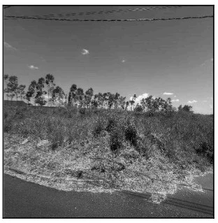 Terreno - Umuarama - Desocupado — foto 2