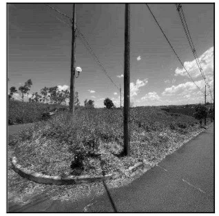 Terreno - Umuarama - Desocupado — foto 2