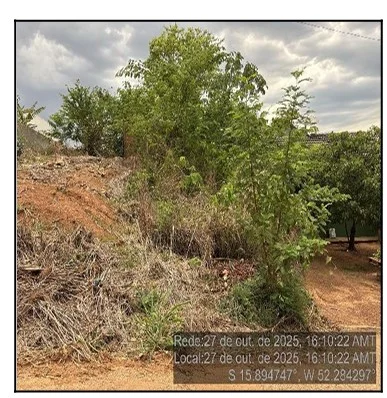 Terreno - Barra do Garcas - Desocupado — foto 2