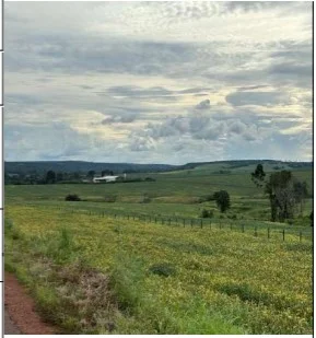 Imóvel Rural - Dom Eliseu - Ocupado — foto 2
