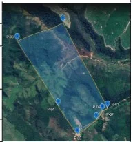 Imóvel Rural - Paulo Ramos - Ocupado — foto 2