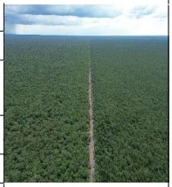 Imóvel Rural - Canto do Buriti - Desocupado — foto 2