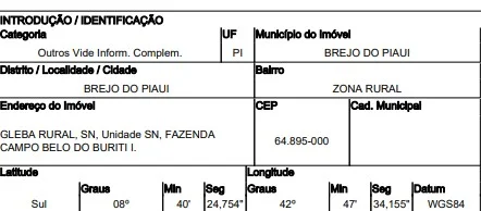 Imóvel Rural - Canto do Buriti - Desocupado — foto 3