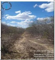 Imóvel Rural - Bodoco - Ocupado — foto 2