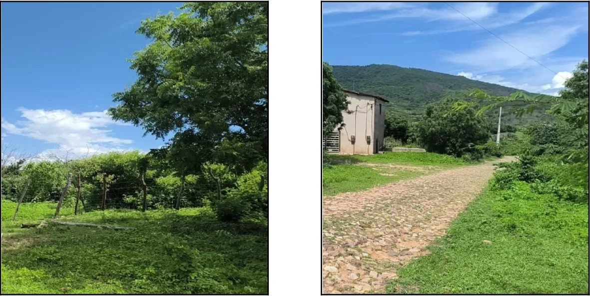 Terreno - Francisco Beltrao - Desocupado — foto 4
