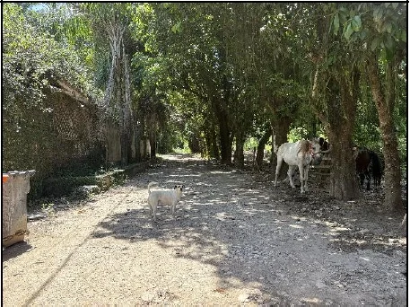 Terreno - Rio de Janeiro - Ocupado — foto 3