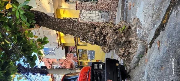 Casa - 2 Quartos - Rio de Janeiro - Ocupado — foto 2