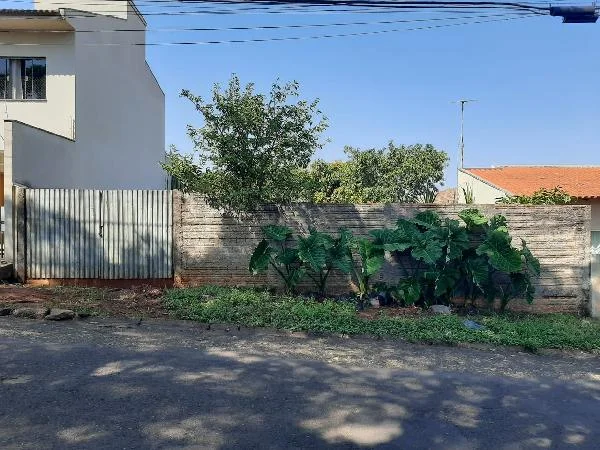 Terreno - Arapongas - Desocupado — foto 2
