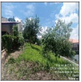 Terreno - Gravata - Desocupado — foto 2