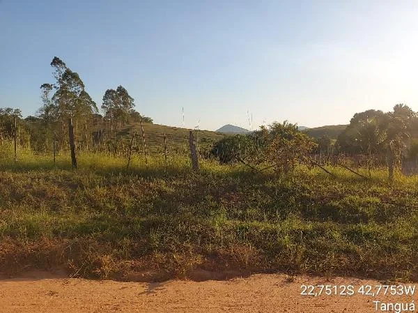 Terreno - Tangua - Desocupado — foto 2