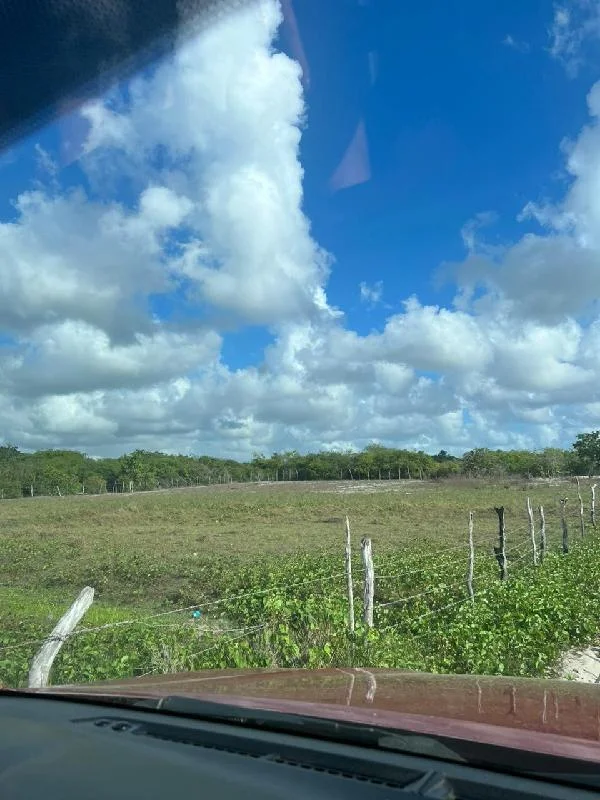 Terreno - Paracuru - Ocupado — foto 2