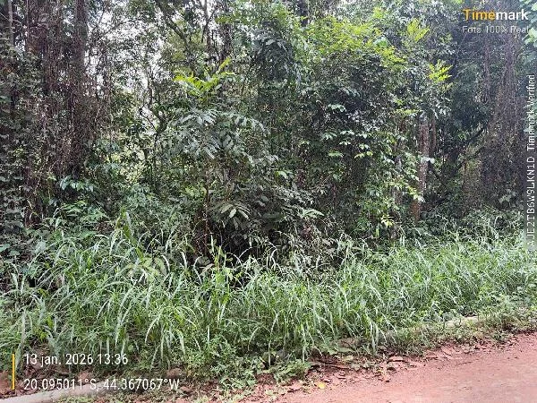 Terreno - Igarape - Ocupado — foto 2
