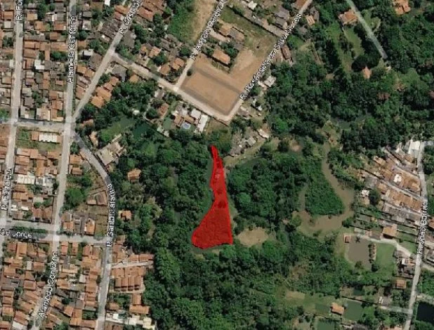 Terreno - Goias - Desocupado — foto 2