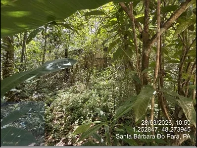 Casa - 2 Quartos - Benevides - Desocupado — foto 4