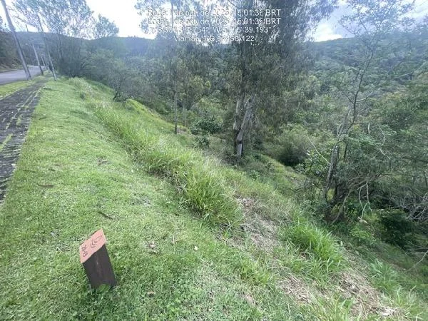 Terreno - Viamao - Desocupado — foto 2